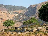 Loutro